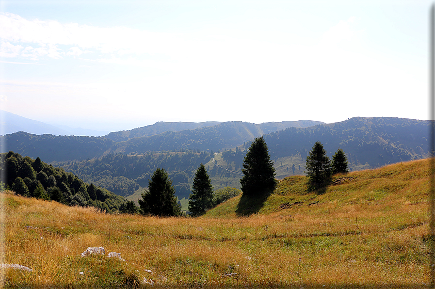 foto Col dell'Orso